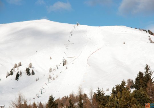 Pista Direttissima Campo - Le Cune: pista impegnativa sempre al sole nel comprensorio dell'Alpe Lusia - Bellamonte