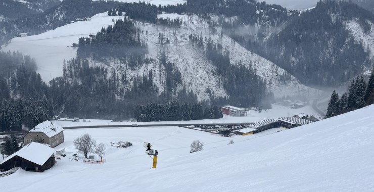 Parte finale Piculin