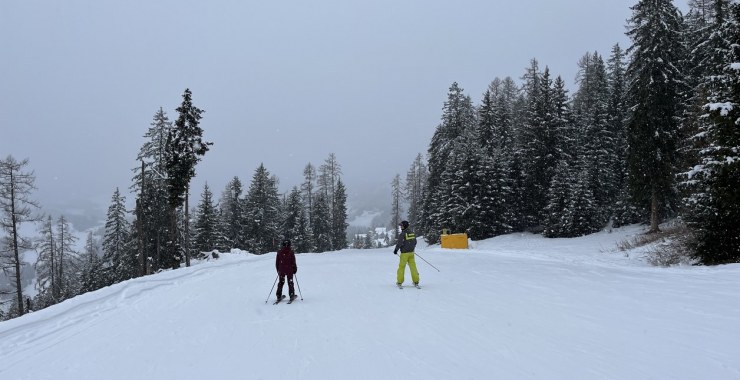 Parte iniziale Piculin