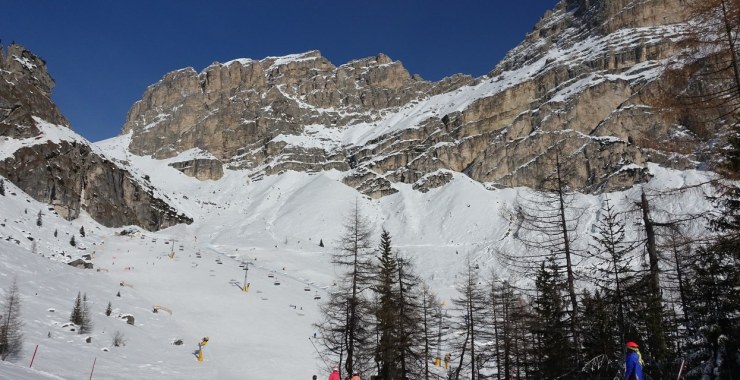 Val Stella Alpina - Edelweiss