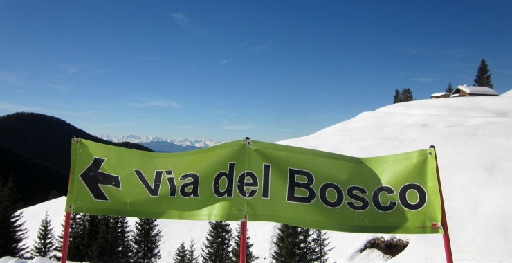 Via del Bosco