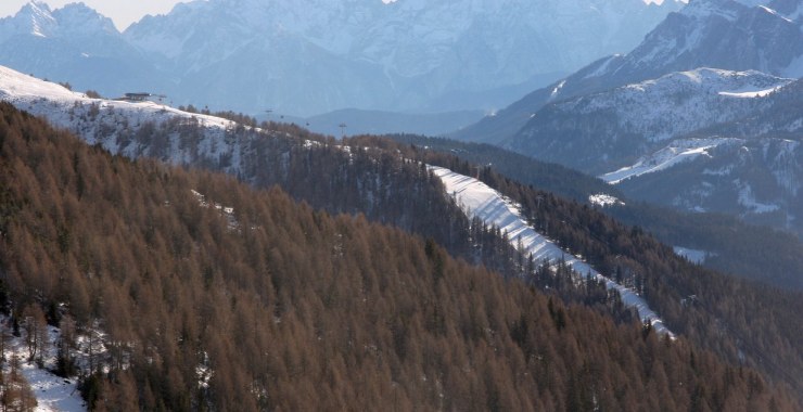 Panoramica pista