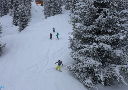 Fuoripista boschetti Lastè: facile freeride servito dall'impianto Campo - Lastè in Alpe Lusia - Bellamonte