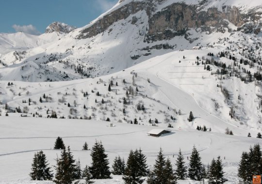 Pista Cherz 1: il tracciato più soleggiato e facile del Passo Campolongo di Arabba