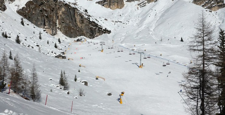 Parte alta Stella Alpina