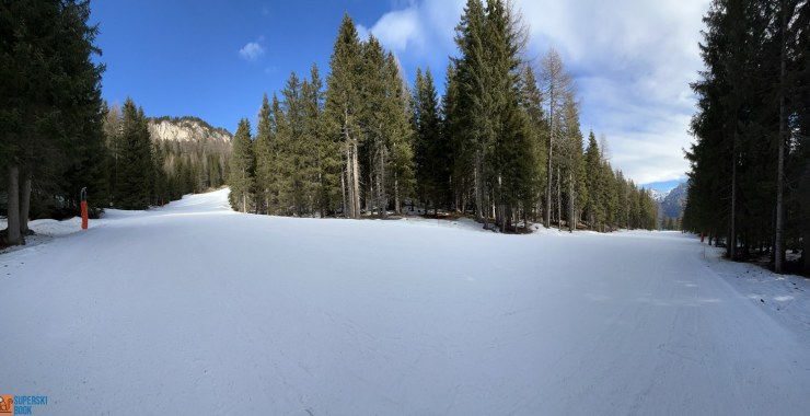 Parte centrale nel bosco