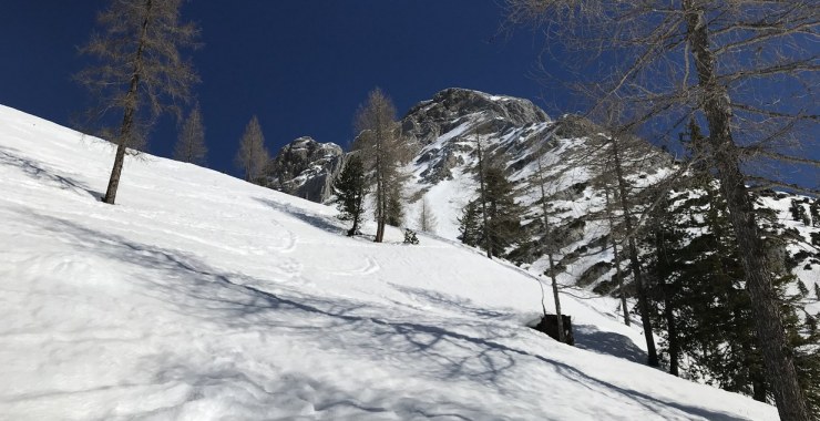 Verso la Forcella Colfiedo