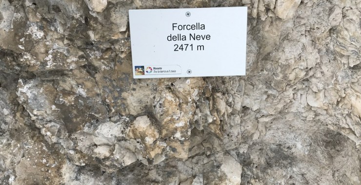Forcella della Neve 2471 m slm