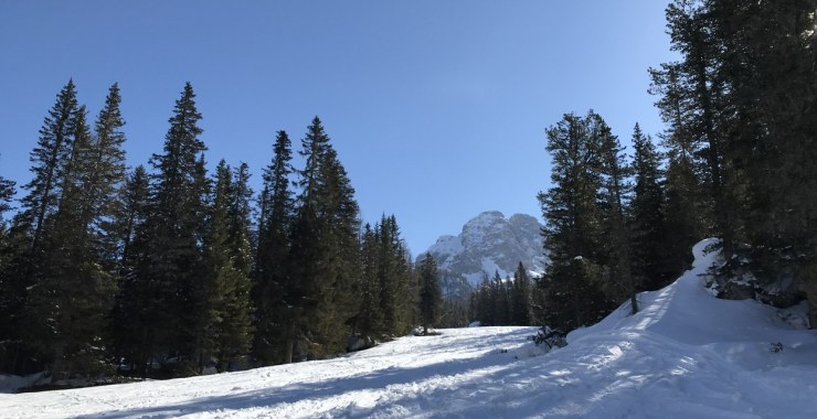 Inizio salita per pista