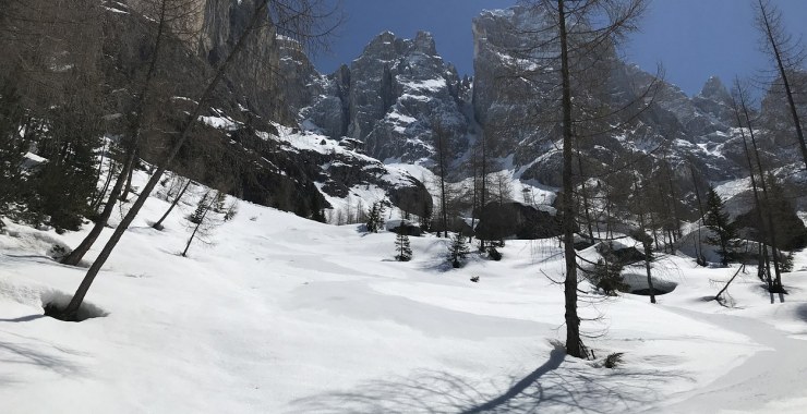 Boschetti divertenti