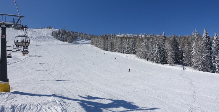 Facile psita Le Ciaune