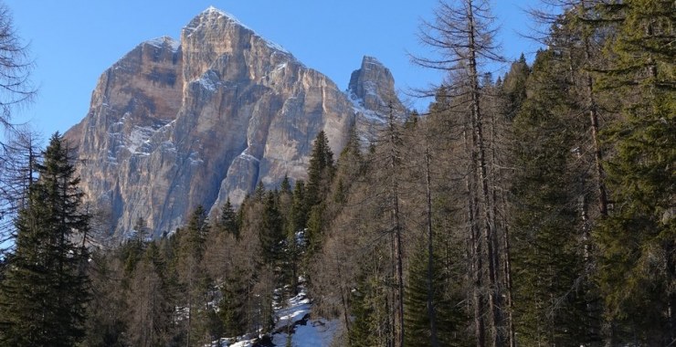 Tofana di Rozes