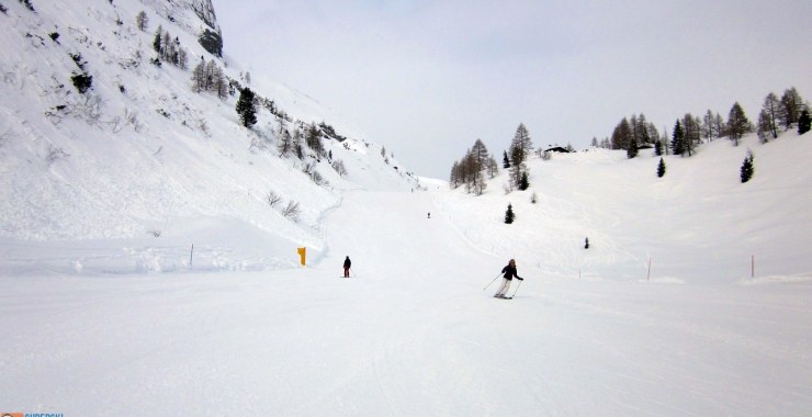 Pendii in comun con la Bellunese