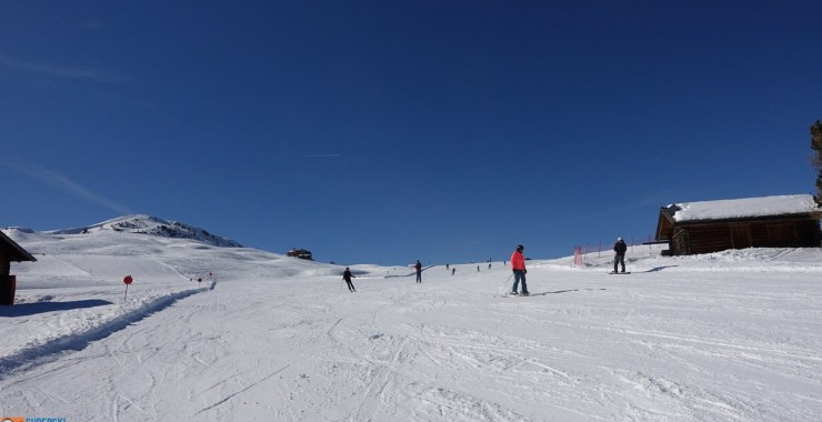 Pista Punta d'Oro - Floralpina