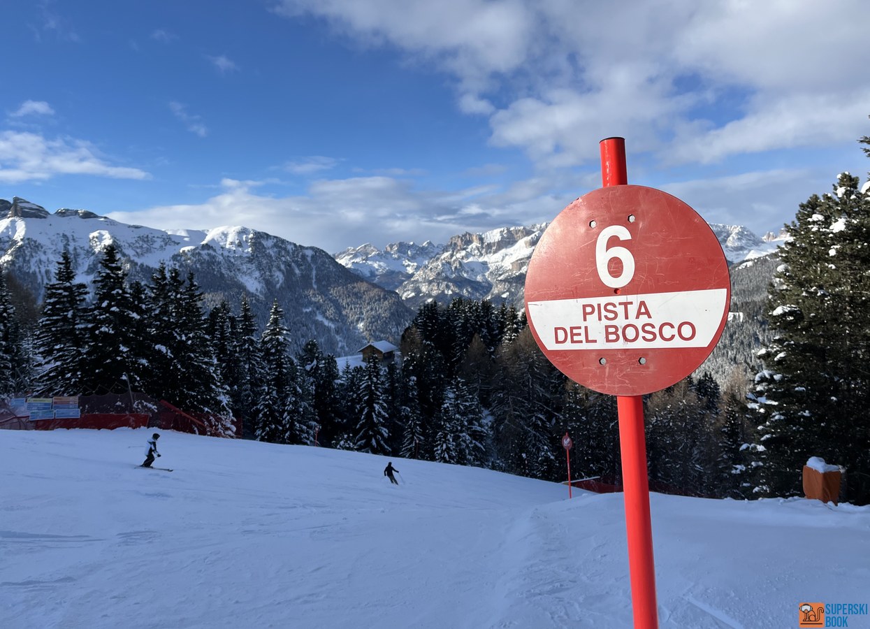 Pista del Bosco numero 6