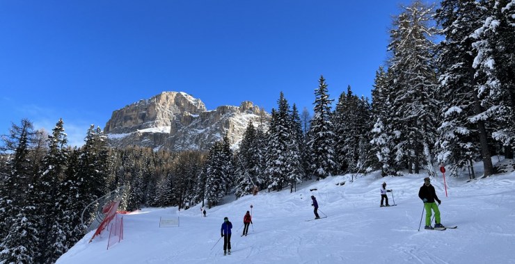 Vista sul Sella e Sass Pordoi