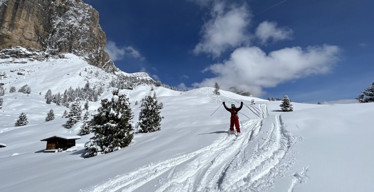 Freerider felici