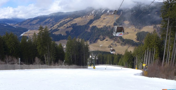 Raut nera in primavera