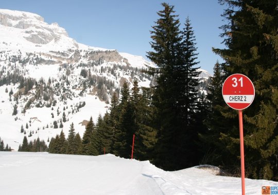 Pista Cherz 2: la pista tecnica del Monte Cherz di Arabba - Passo Campolongo