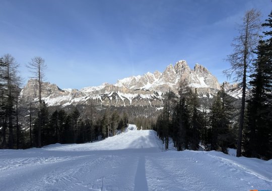 Pista Scoiattolo: sempre ottima neve per una delle nere più godibili di Cortina d'Ampezzo