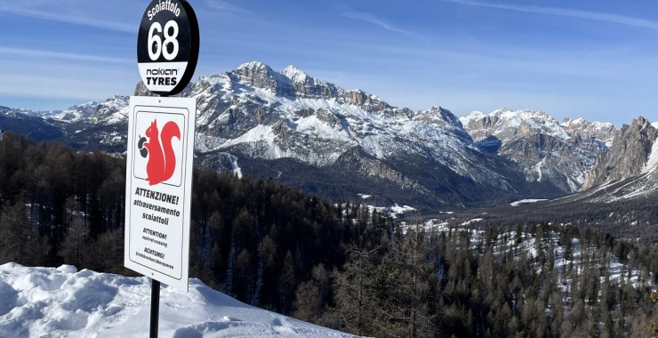 Cartello pista nera Scoiattolo