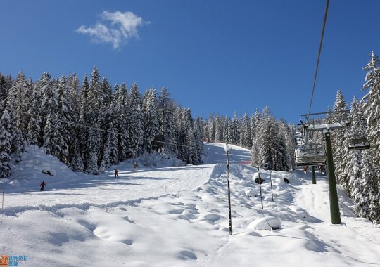 Bella pista rossa immersa nei boschi di Selva di Cadore