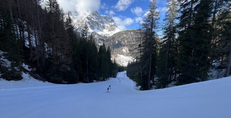 Pendio finale nel bosco