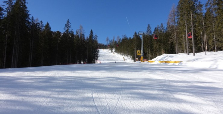 Parte alta nel Bosco